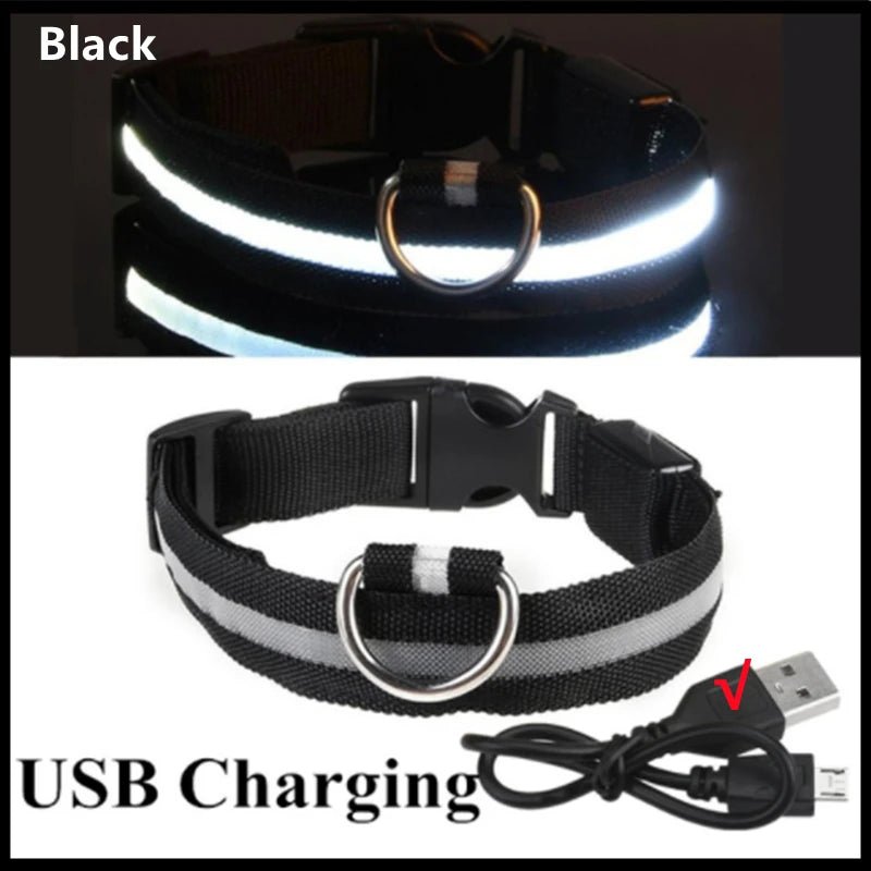 LED Dog Safety Collar – USB Rechargeable Light - Up Collar with 3 Modes for Night Walking - Sellaxy