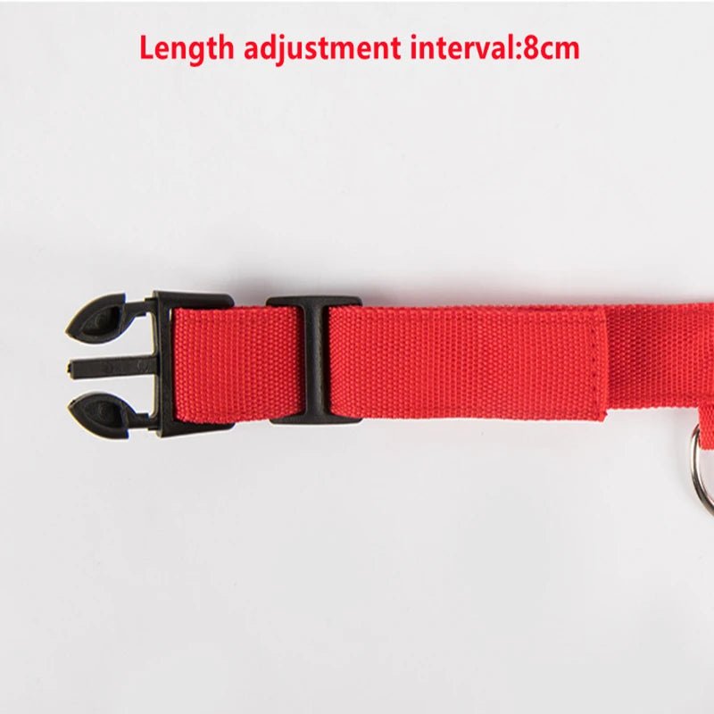 LED Dog Safety Collar – USB Rechargeable Light - Up Collar with 3 Modes for Night Walking - Sellaxy