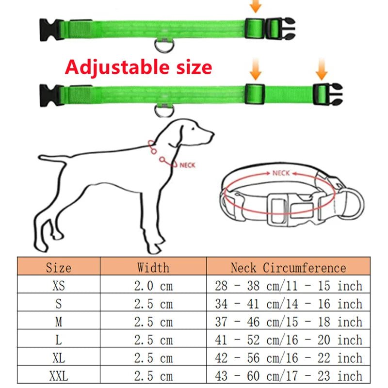 LED Dog Safety Collar – USB Rechargeable Light - Up Collar with 3 Modes for Night Walking - Sellaxy