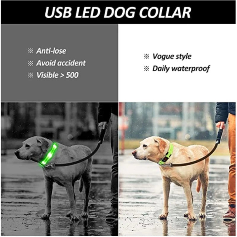 LED Dog Safety Collar – USB Rechargeable Light - Up Collar with 3 Modes for Night Walking - Sellaxy