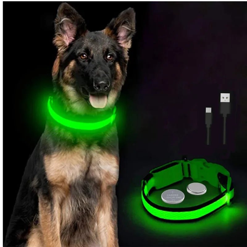 LED Dog Safety Collar – USB Rechargeable Light - Up Collar with 3 Modes for Night Walking - Sellaxy