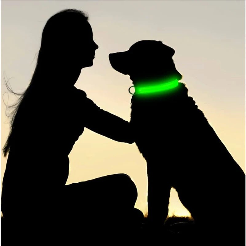 LED Dog Safety Collar – USB Rechargeable Light - Up Collar with 3 Modes for Night Walking - Sellaxy