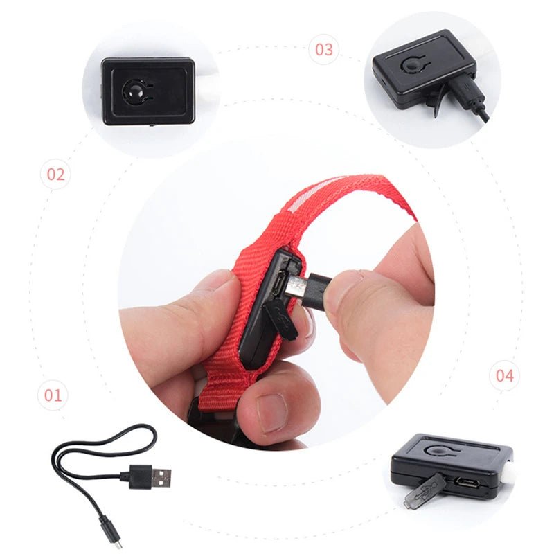 LED Dog Safety Collar – USB Rechargeable Light - Up Collar with 3 Modes for Night Walking - Sellaxy