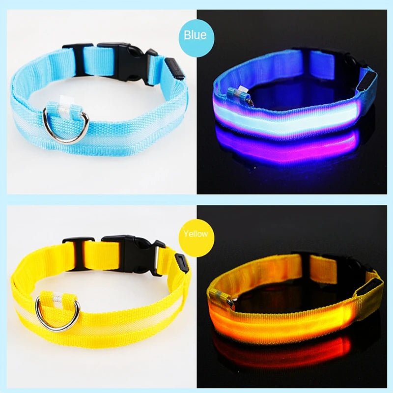 LED Dog Safety Collar – USB Rechargeable Light - Up Collar with 3 Modes for Night Walking - Sellaxy