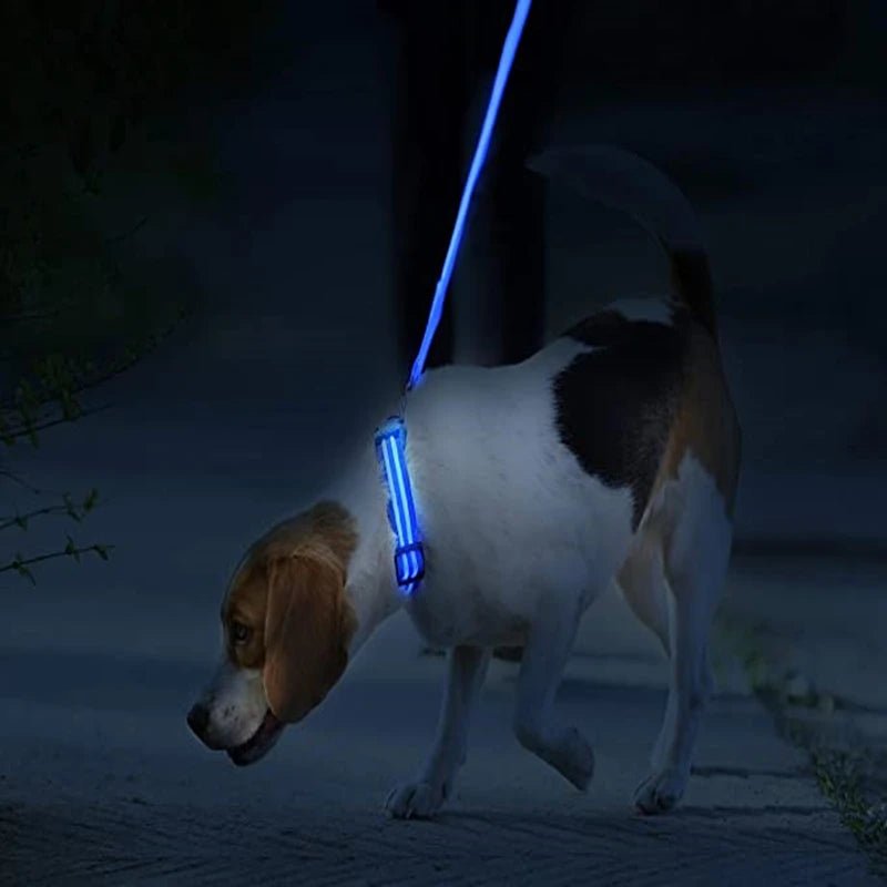 LED Dog Safety Collar – USB Rechargeable Light - Up Collar with 3 Modes for Night Walking - Sellaxy