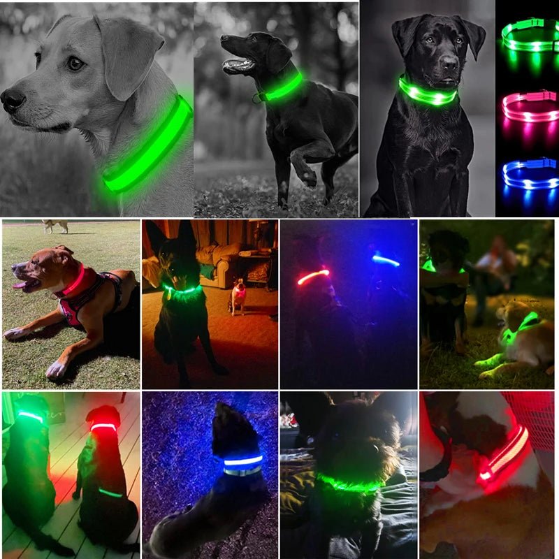LED Dog Safety Collar – USB Rechargeable Light - Up Collar with 3 Modes for Night Walking - Sellaxy