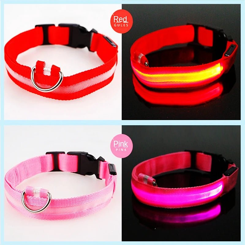 LED Dog Safety Collar – USB Rechargeable Light - Up Collar with 3 Modes for Night Walking - Sellaxy