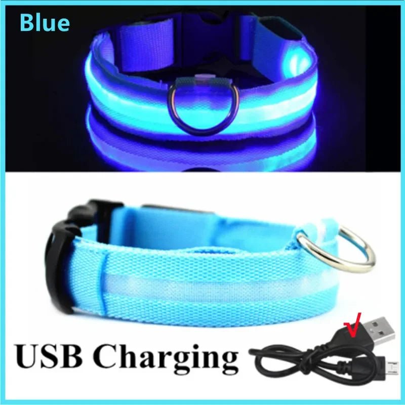 LED Dog Safety Collar – USB Rechargeable Light - Up Collar with 3 Modes for Night Walking - Sellaxy