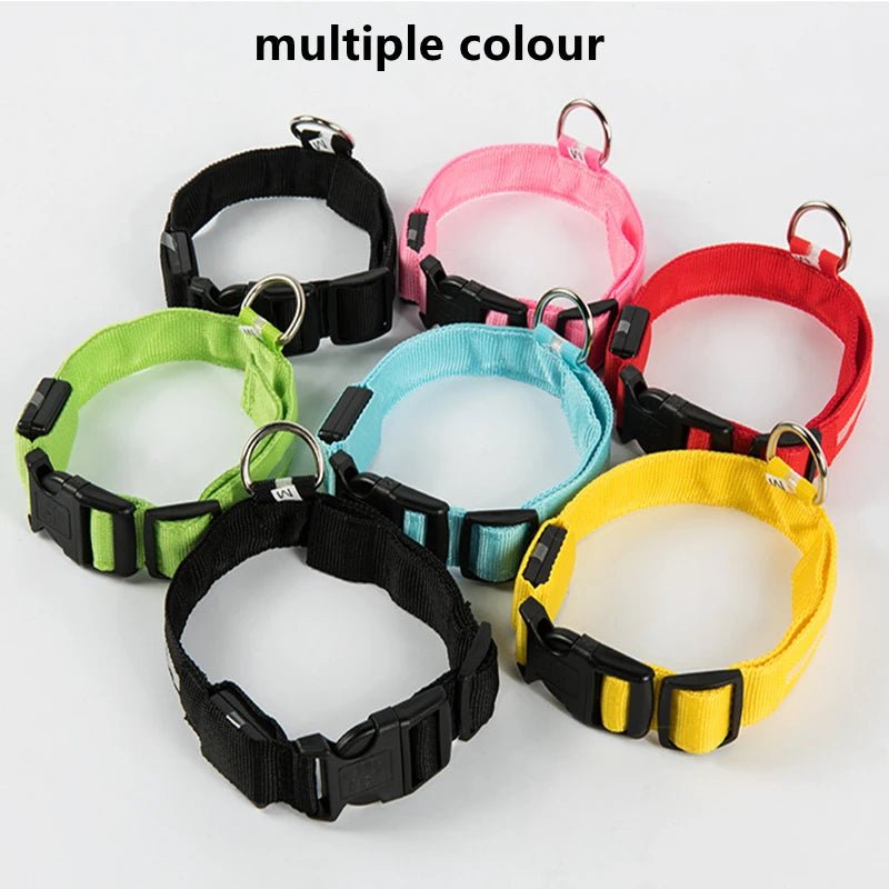 LED Dog Safety Collar – USB Rechargeable Light - Up Collar with 3 Modes for Night Walking - Sellaxy
