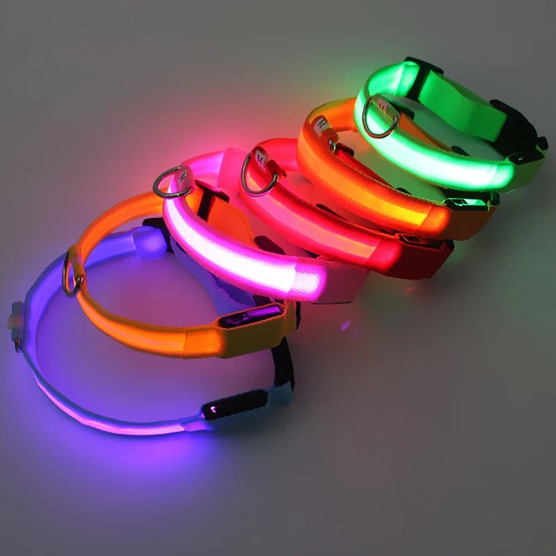 LED Dog Safety Collar – USB Rechargeable Light - Up Collar with 3 Modes for Night Walking - Sellaxy