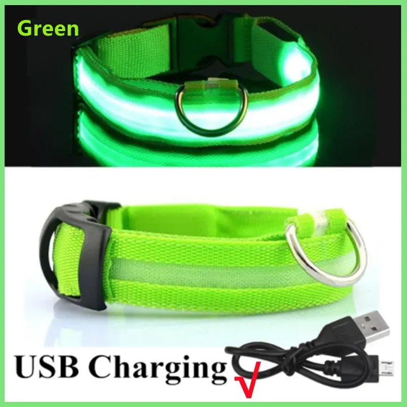 LED Dog Safety Collar – USB Rechargeable Light - Up Collar with 3 Modes for Night Walking - Sellaxy